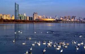 三門峽又一網(wǎng)紅景點，確定不來pick一下？